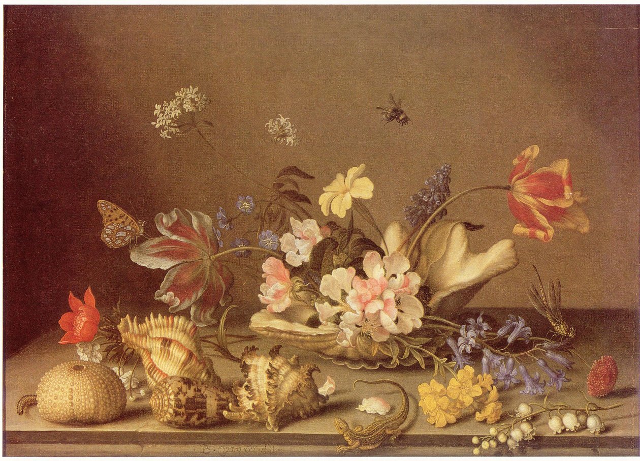 花与贝壳的静物 作者 Balthasar van der Ast