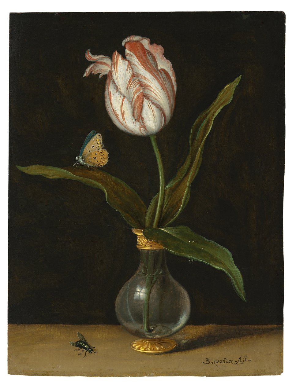 卓梅松 "郁金香（布面油画） 作者 Balthasar van der Ast