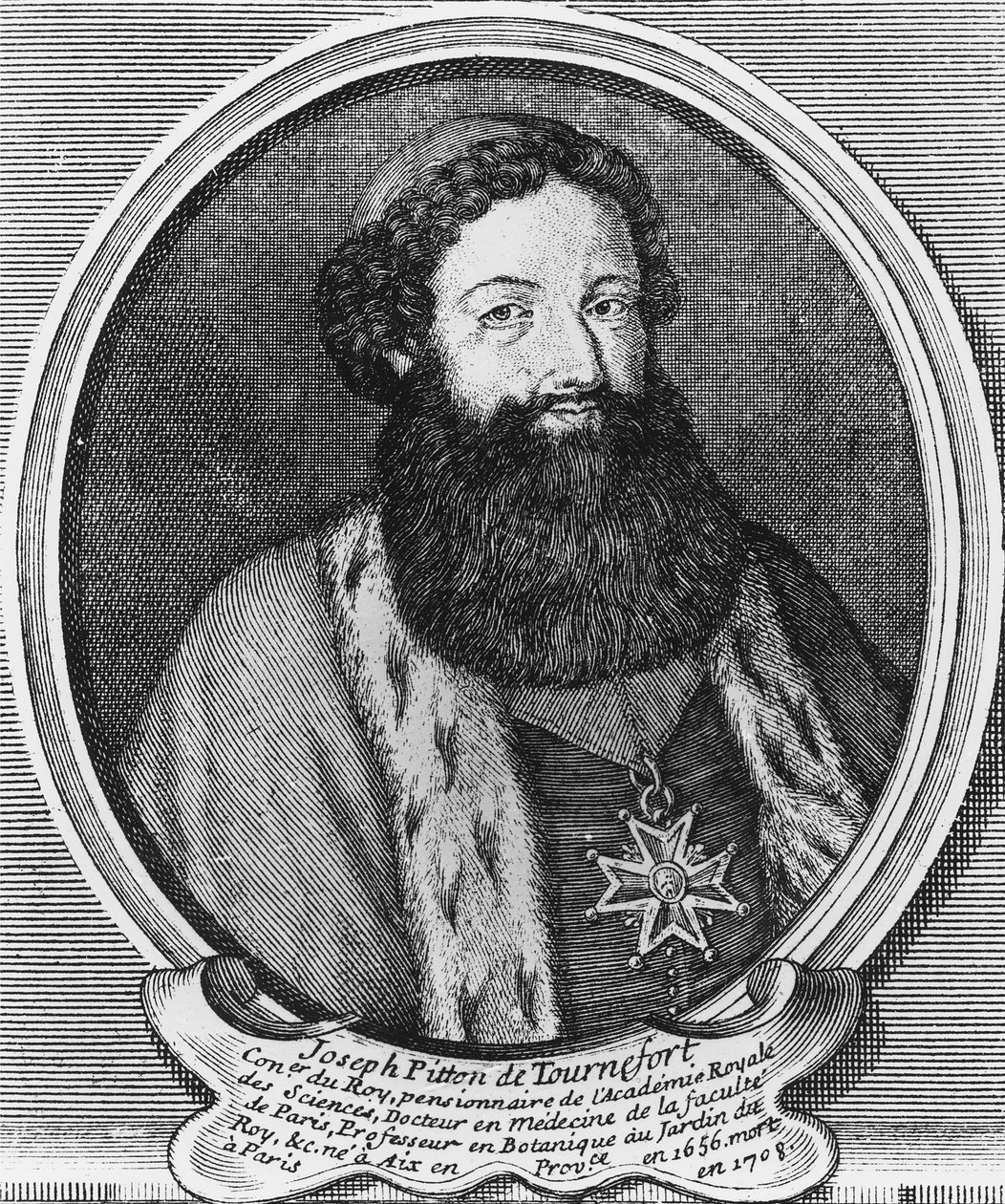 Joseph Pitton de Tournefort雕刻 作者 浸信会马丁