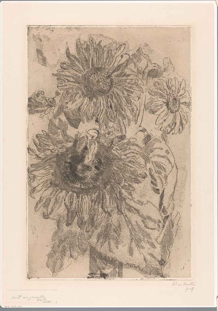 花瓶里的三朵向日葵 作者 Barbara Elisabeth van Houten（艺术家签名）