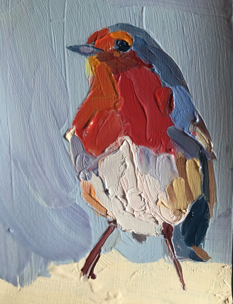 robin, 2016 作者 芭芭拉·霍格维根（Barbara Hoogeweegen）