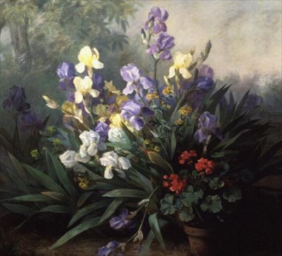 与虹膜的花卉风景 作者 芭芭拉·科赫（Barbara Koch）