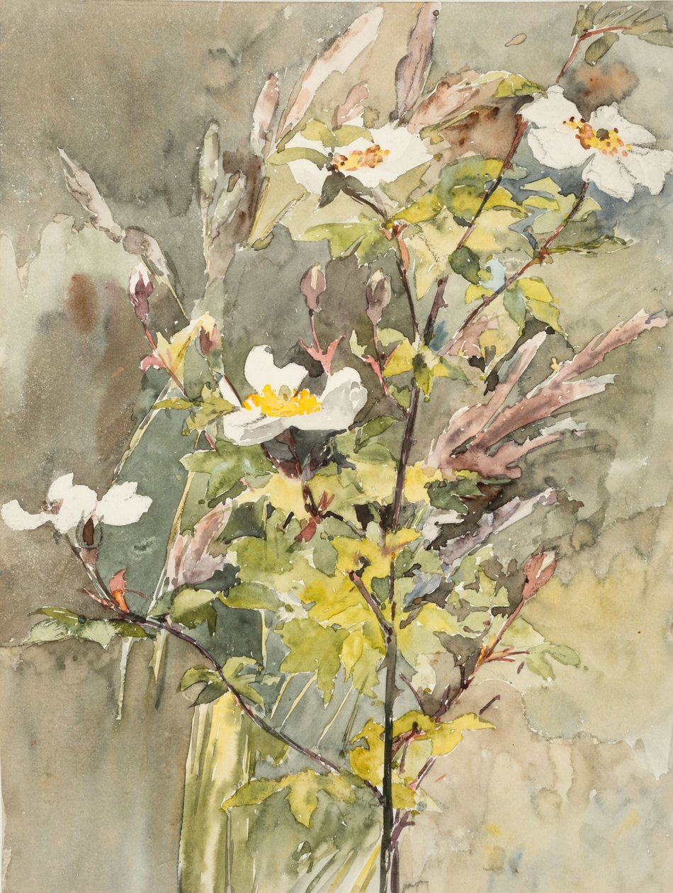 野花（水彩和石墨，水粉纸） 作者 芭芭拉·利·史密斯·博迪雄