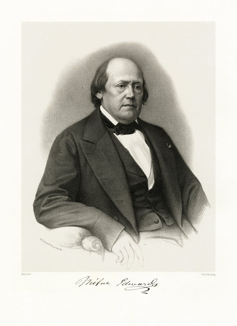 Henri Milne Edwards，1865-66 作者 巴里