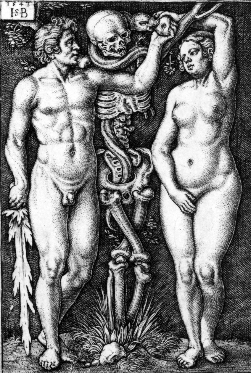 亚当和夏娃，由Hans Sebald Beham雕刻，1543年 作者 巴瑟尔·贝汉姆