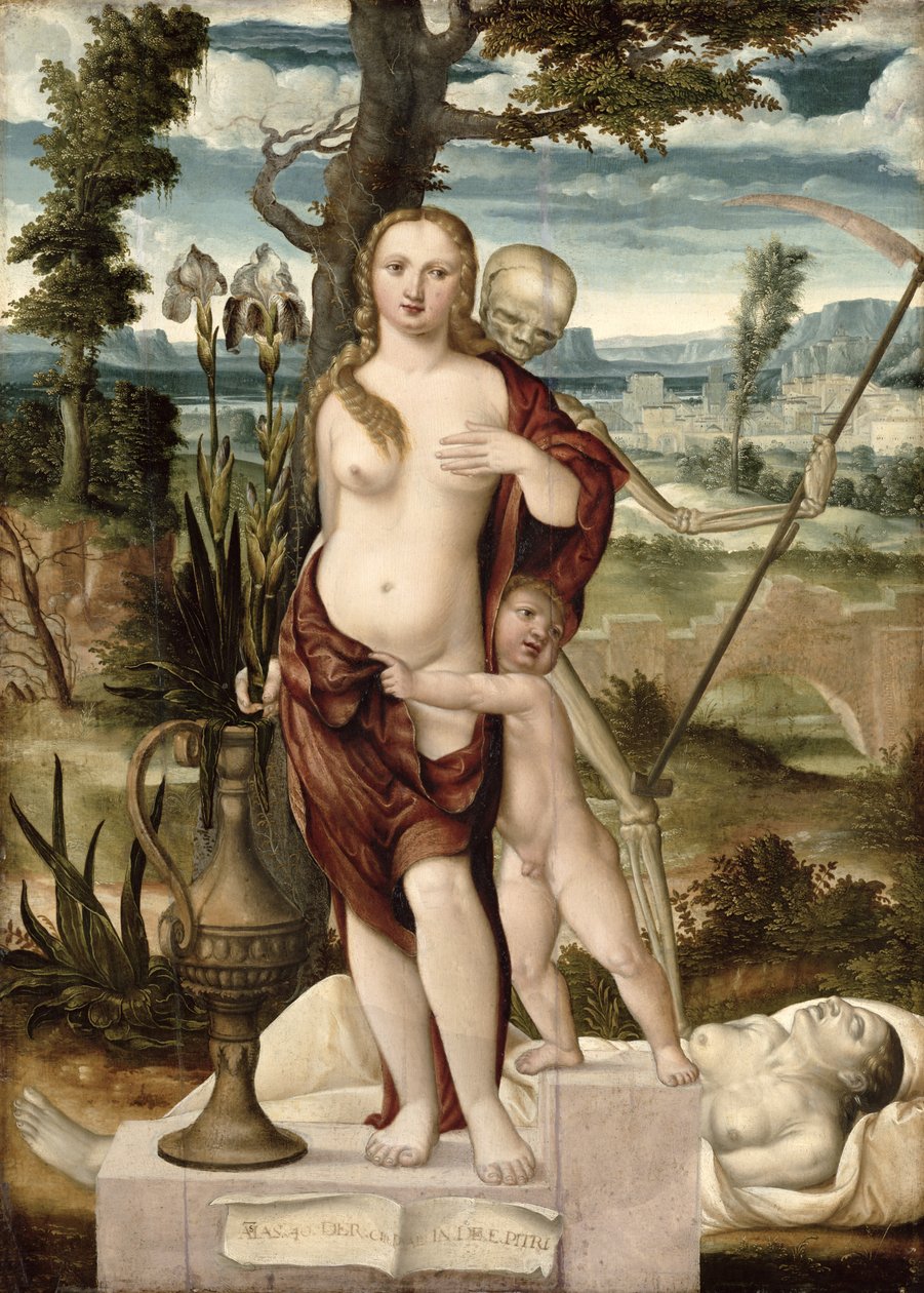  作者 巴瑟尔·贝汉姆