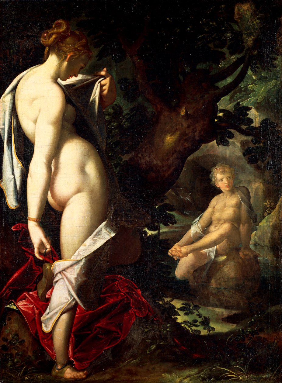 《雌雄同体和萨拉马斯》，巴塞洛缪·斯普兰格 (Bartholomaeus Spranger，1546-1611 年) 作者 Bartholomaeus Spranger