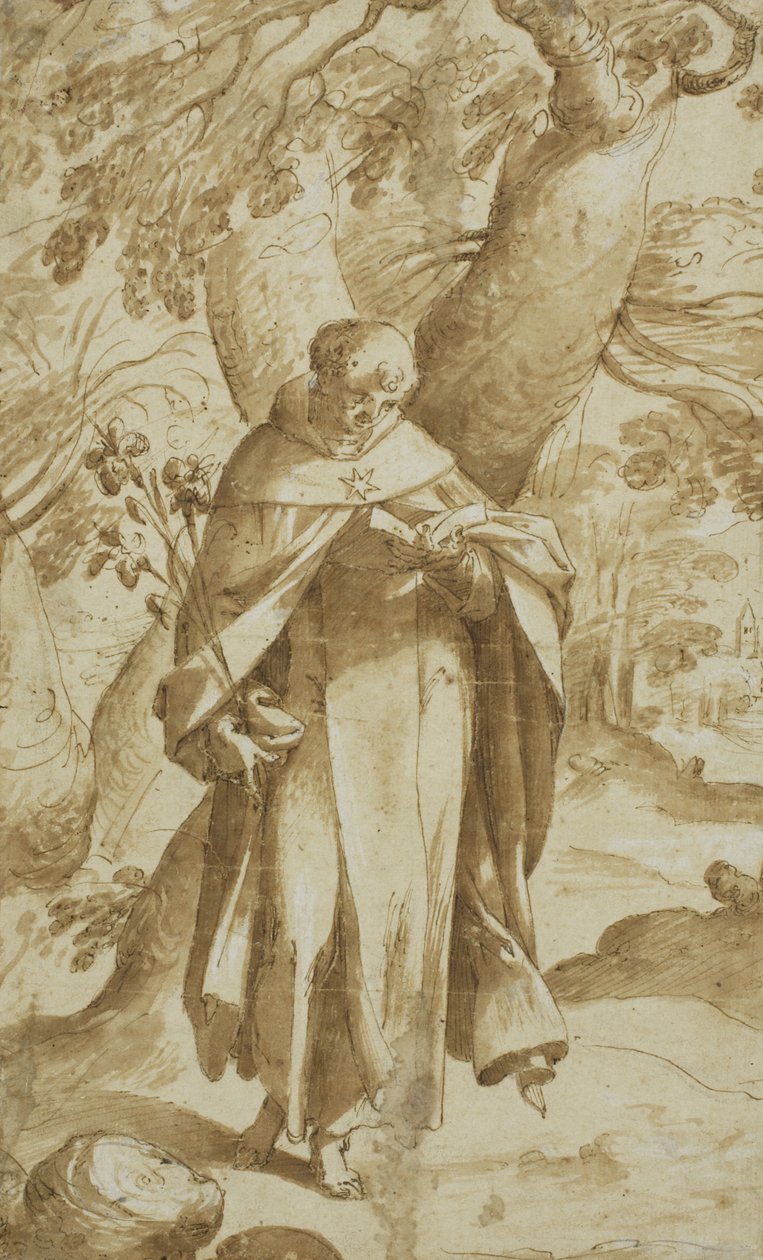 圣多米尼克读书，约1573年 作者 Bartholomaeus Spranger