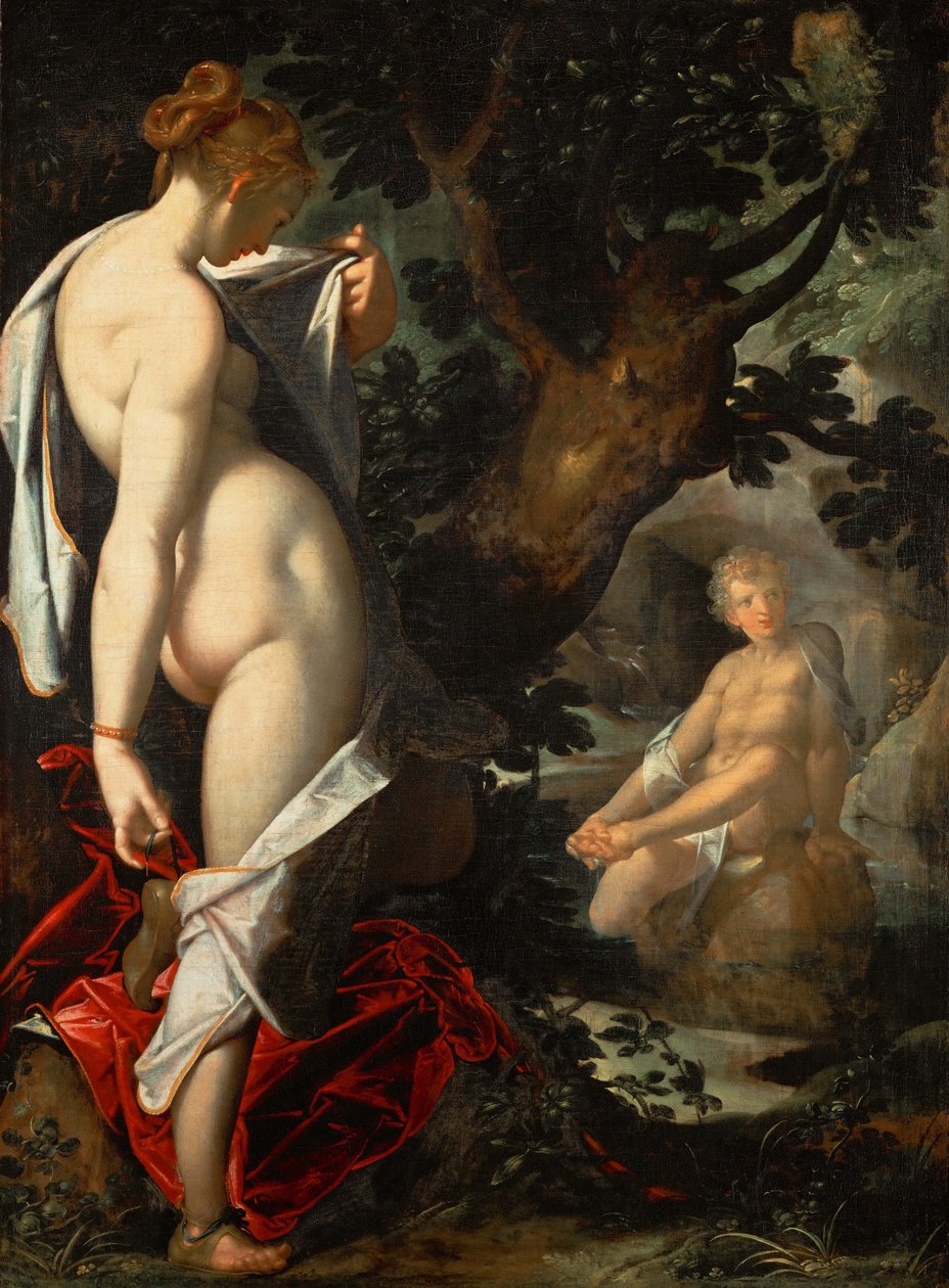 若虫Salmacis和Hermaphroditus，约1580-1582年 作者 Bartholomaeus Spranger