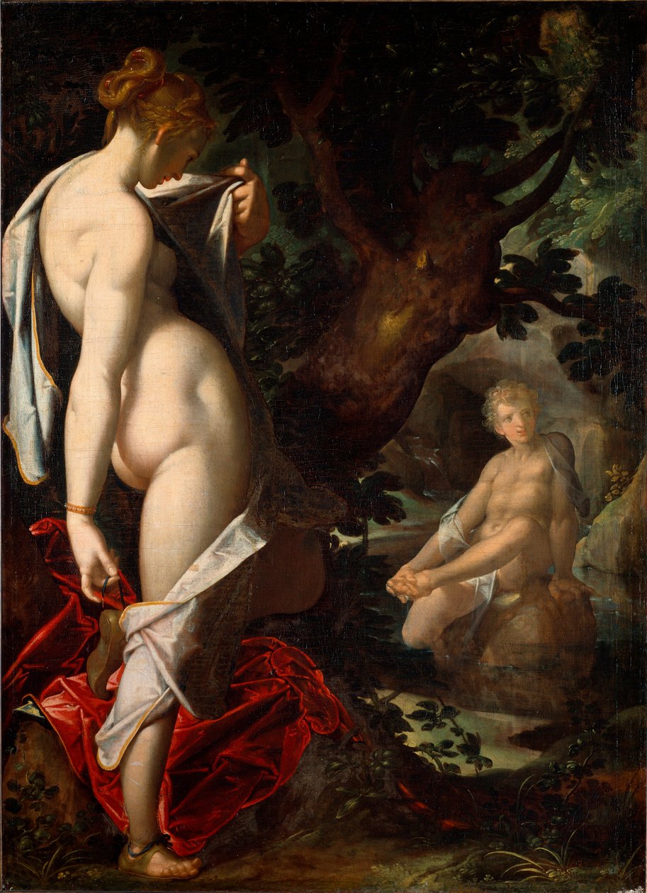 naiad Salmacis 欣赏沐浴在春天的雌雄同体（绘画 作者 Bartholomaeus Spranger