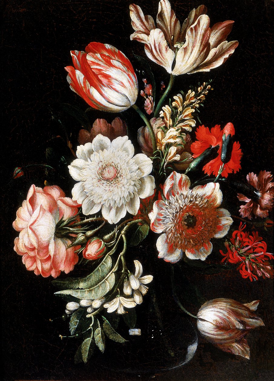 花卉 作者 Bartolomeo Ligozzi