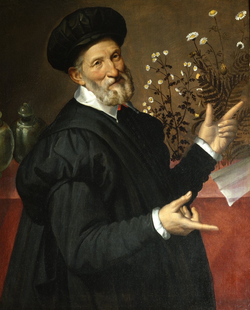 植物学家，1570年 作者 巴托洛梅奥·帕萨罗蒂