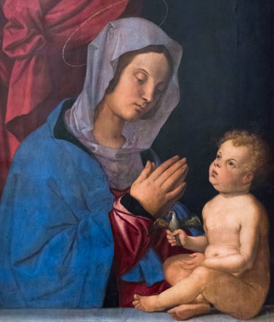 麦当娜和孩子，c.1503（木板油画） 作者 蒙大拿州Bartolomeo