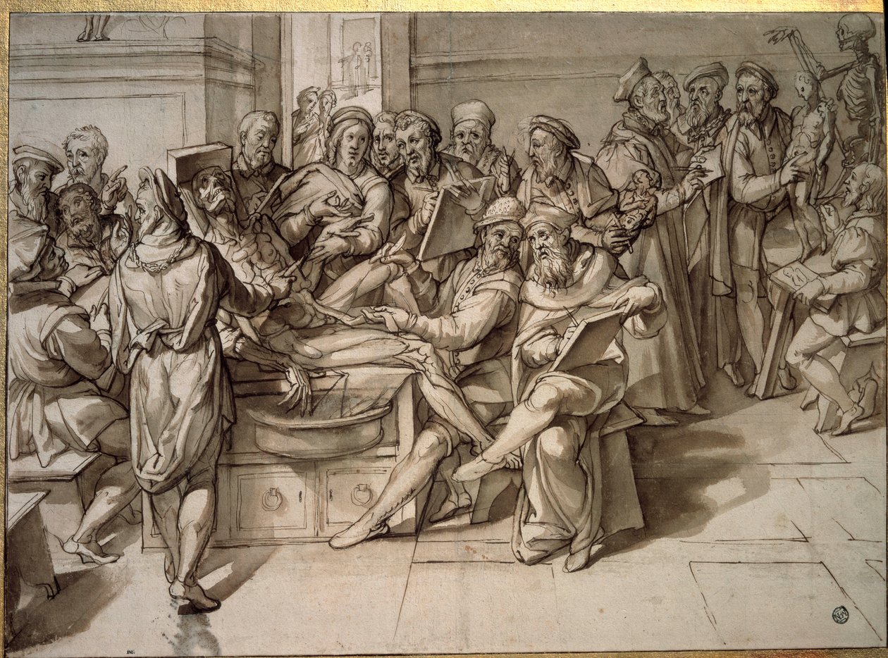 米开朗基罗-布纳罗蒂（Michelangelo Buonarroti）的解剖学讲座（Michelangelo或Michel Ange）。 作者 巴托洛梅奥·帕萨罗蒂