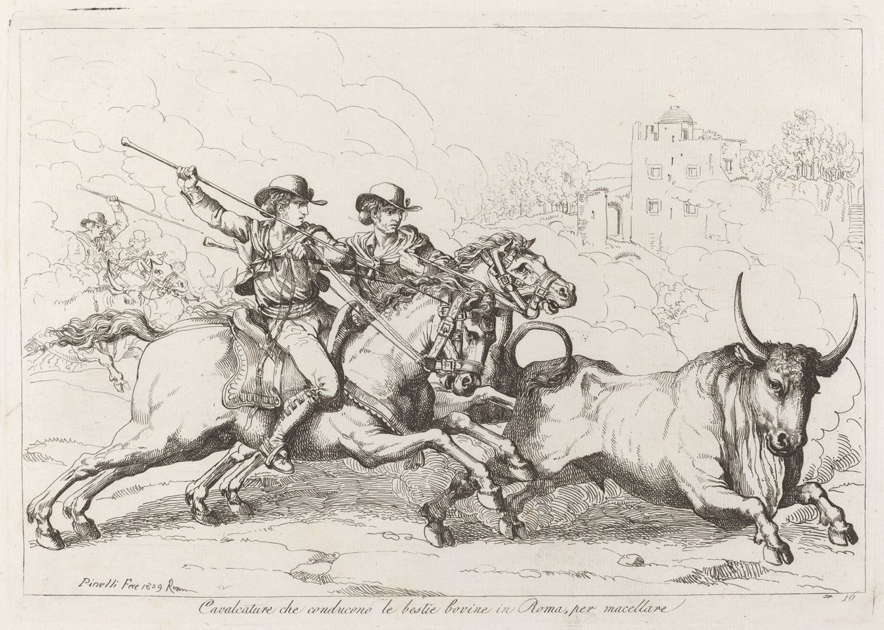 Cavalcature che conducono le bestie bovine in Roma, per macellare (Cattle Driven to the Slaughter in Rome) (Plate 16) 作者 Bartolomeo Pinelli