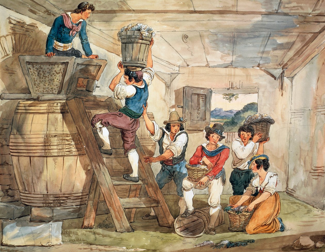 采摘者将葡萄送入压榨机 作者 Bartolomeo Pinelli