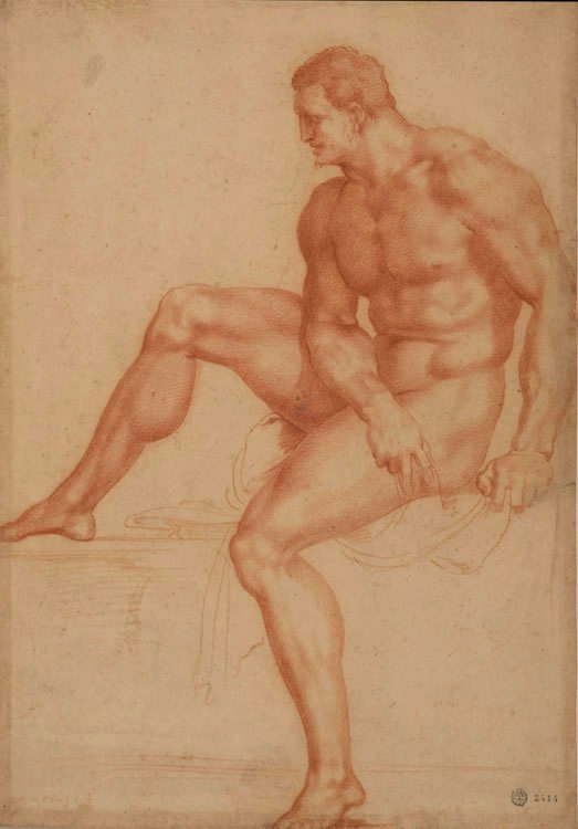 赫拉克勒斯研究 作者 Bartolommeo Bandinelli