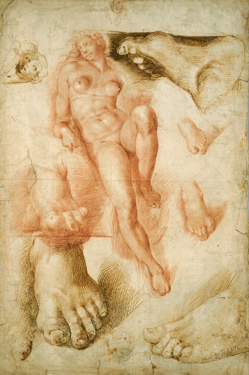 在米开朗基罗的极光之后复制 作者 Bartolommeo Passerotti