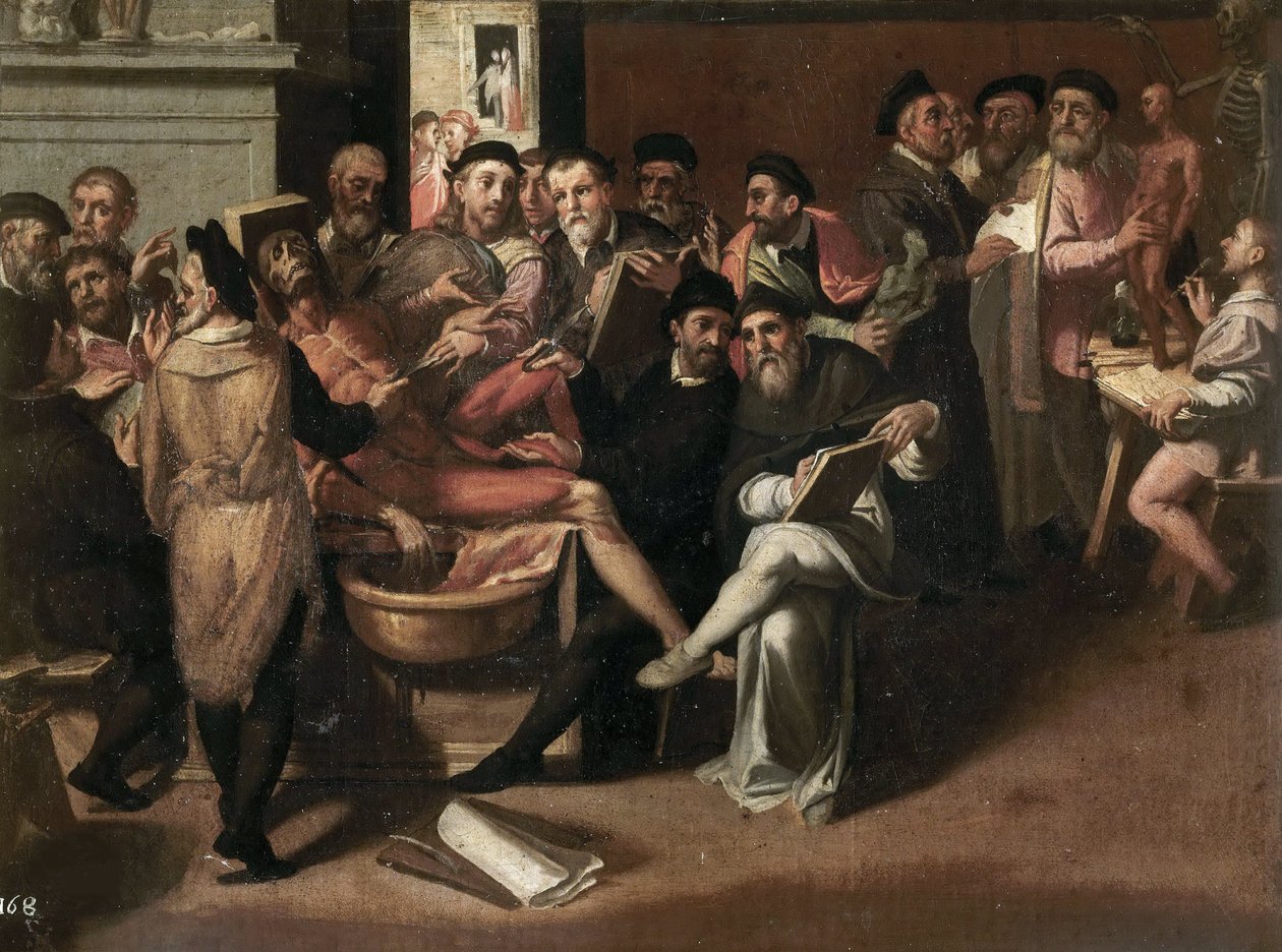 Passerotti, Bartolomeo (1529-1592) 的解剖课。 布面油画。 罗马博尔盖塞美术馆 作者 Bartolommeo Passerotti