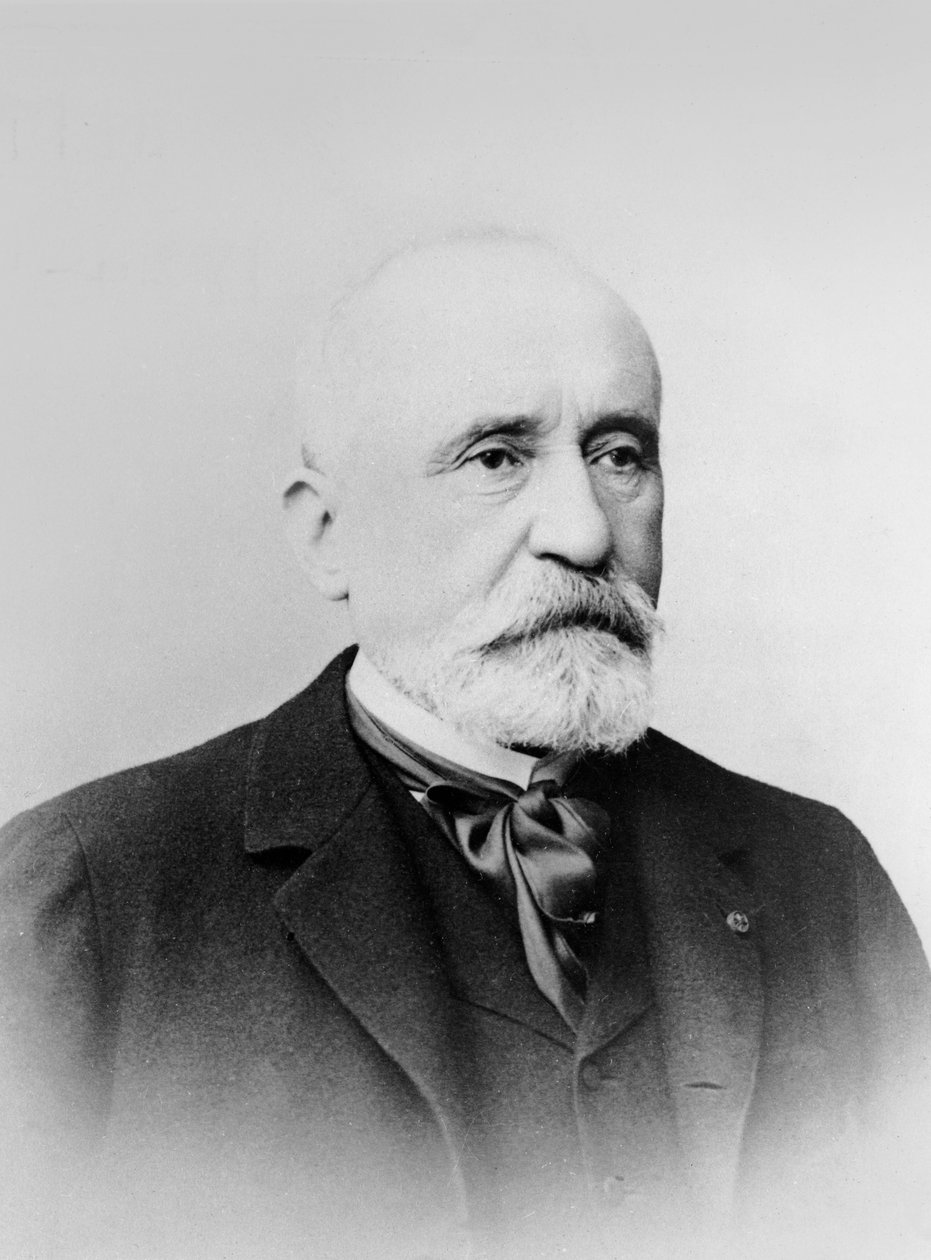 Pierre Puvis de Chavannes的肖像 作者 巴里