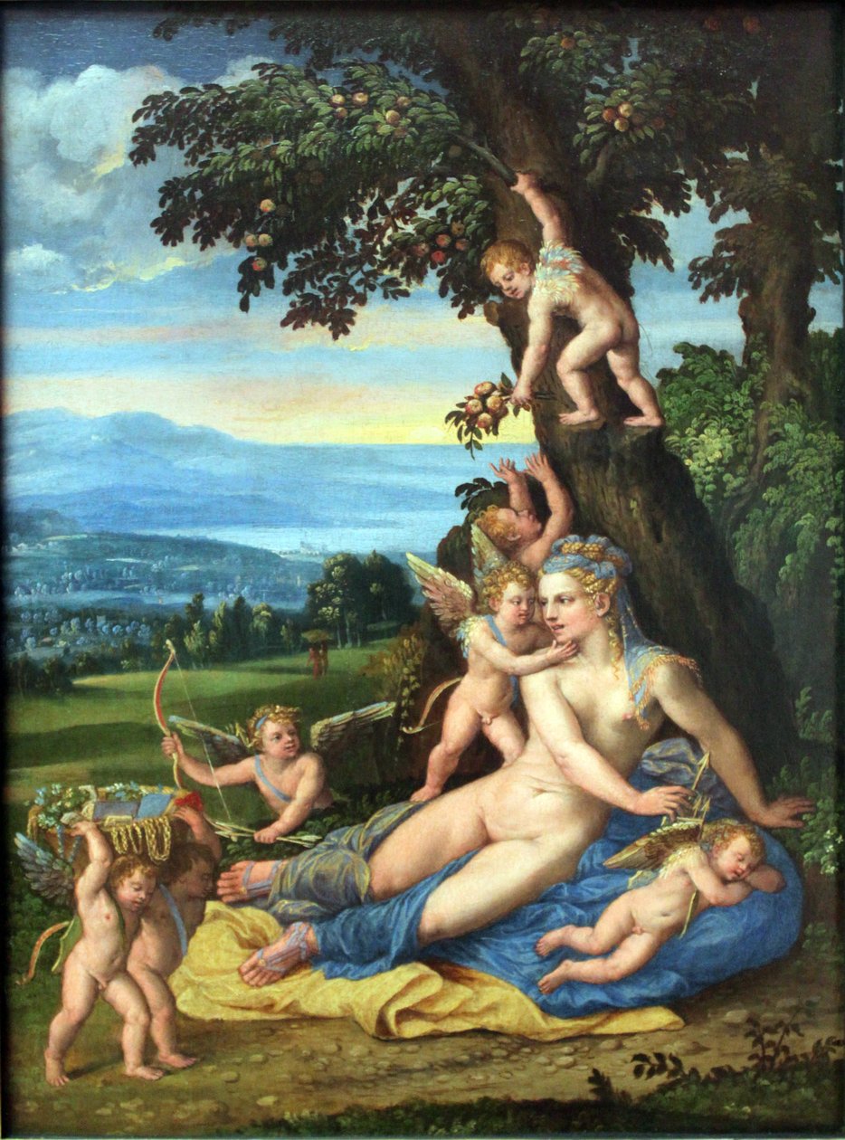 金星和丘比特 作者 巴蒂斯塔·多西（Battista Dossi）