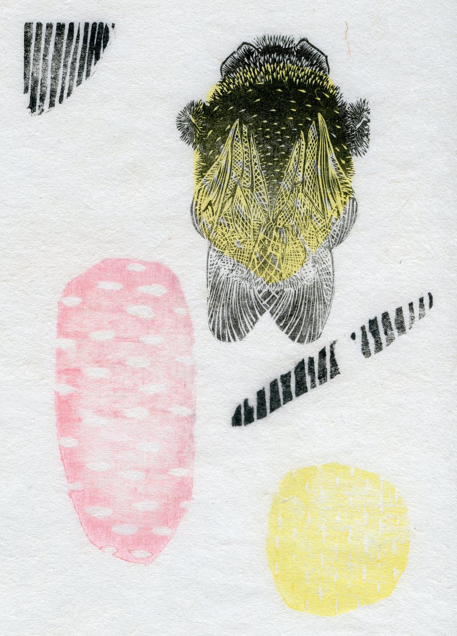 Atomic Bumblebee，2013（水彩和石油上的washi） 作者 贝拉·拉尔森（Bella Larsson）