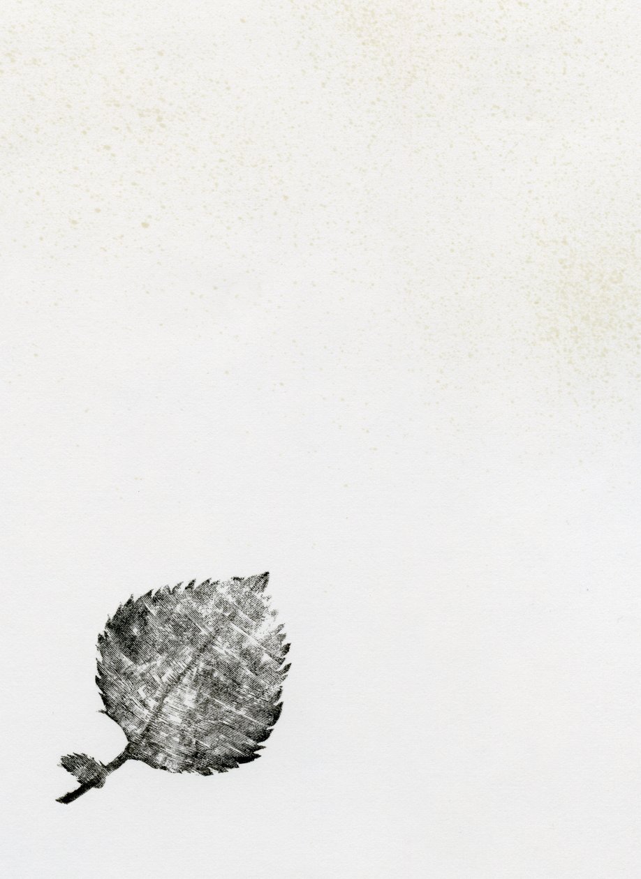 Leaf {Fay-erie Dust}，2014（木版画和纸上墨水） 作者 贝拉·拉尔森（Bella Larsson）