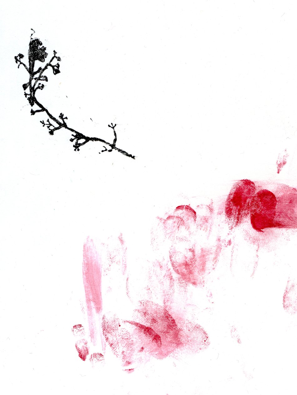 地衣{Fay-erie Dust}，2014（木版画和纸上的水彩） 作者 贝拉·拉尔森（Bella Larsson）