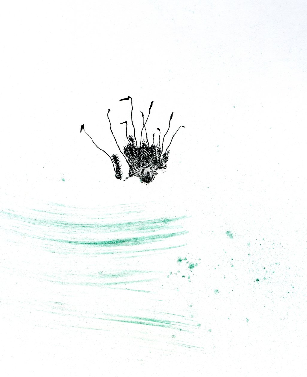 Moss {Fay-erie Dust}，2014（木版画和纸上颜料） 作者 贝拉·拉尔森（Bella Larsson）