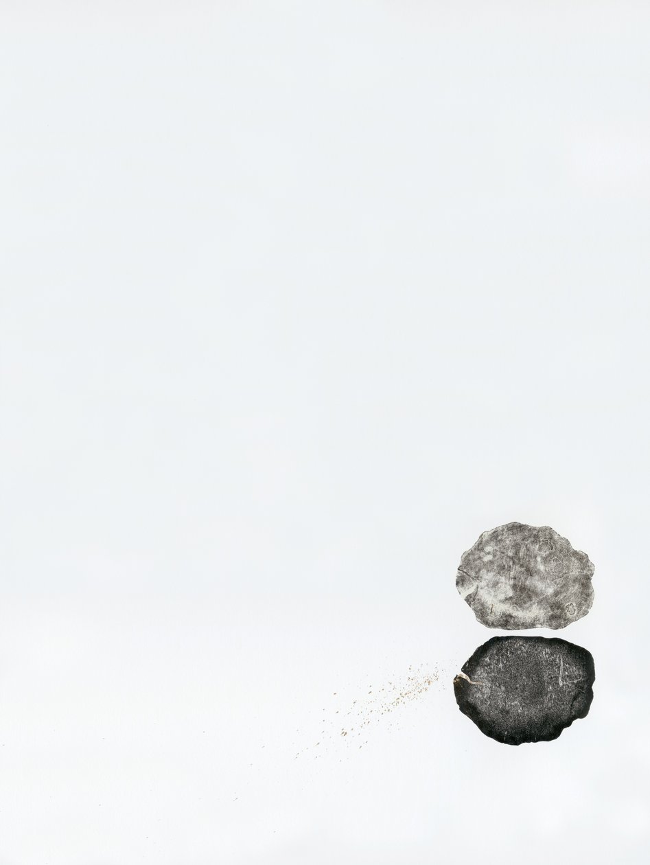 反思，2014年（木版画和21克拉金转印纸） 作者 贝拉·拉尔森（Bella Larsson）