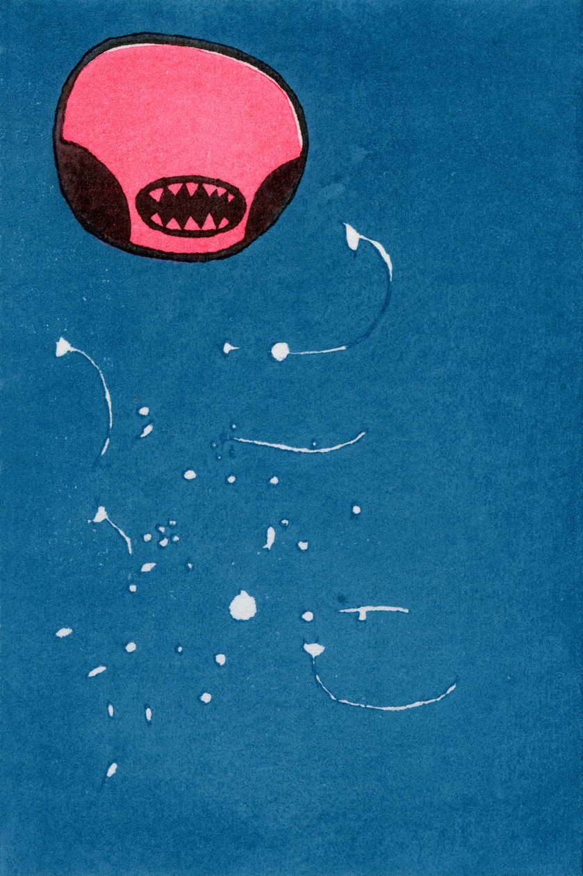 Seedpod Space Monster，2013（关于washi的水彩画） 作者 贝拉·拉尔森（Bella Larsson）