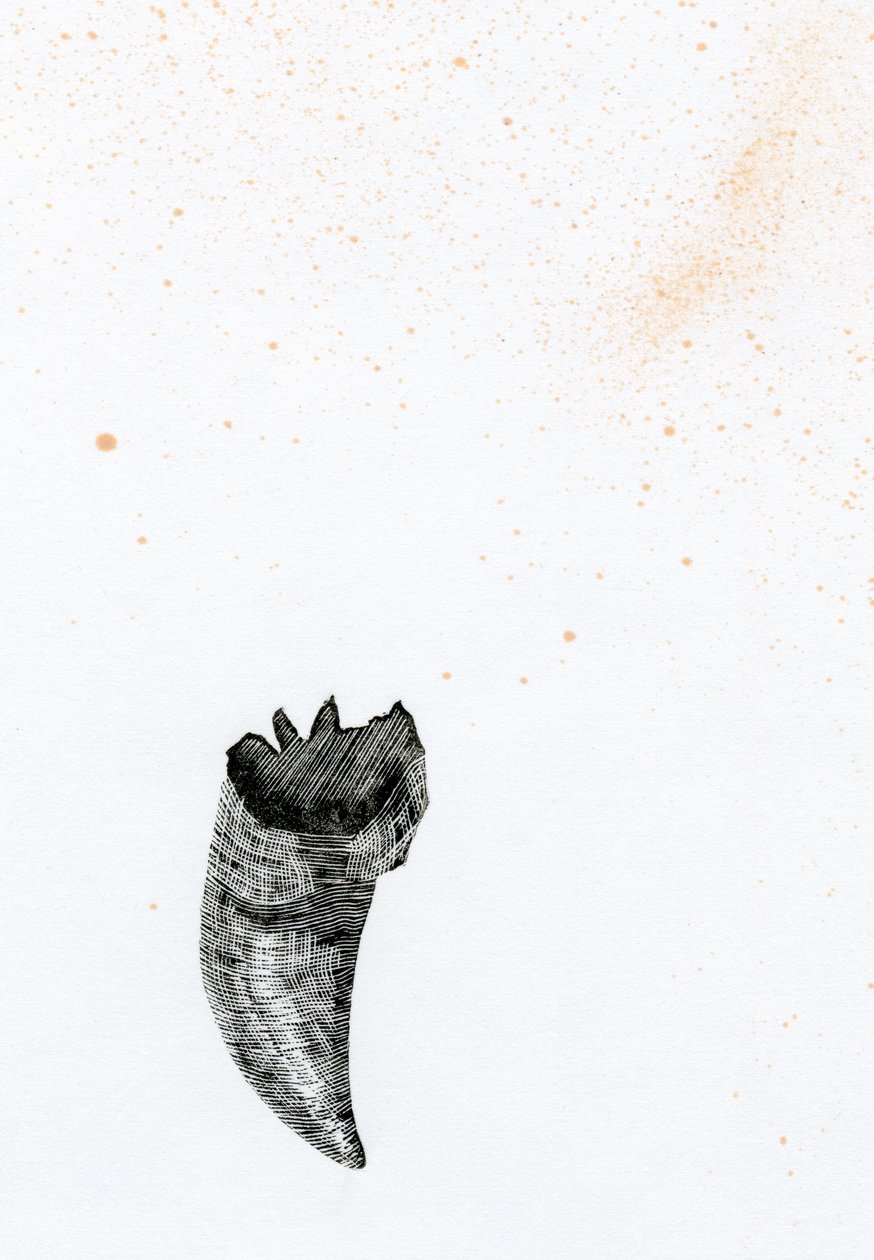 牙齿{Fay-erie Dust}，2014年（木版画和纸上墨水） 作者 贝拉·拉尔森（Bella Larsson）