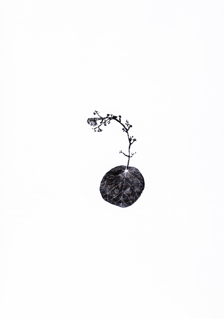 Tug，2014（木版画在纸上） 作者 贝拉·拉尔森（Bella Larsson）