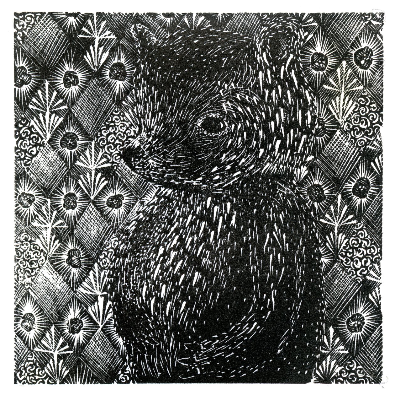Ursus arctos ssp。 domesticus，2013（木版画在纸上） 作者 贝拉·拉尔森（Bella Larsson）