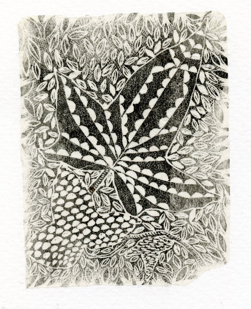 Ivy，2014，（木版画在纸上） 作者 贝拉·拉尔森（Bella Larsson）