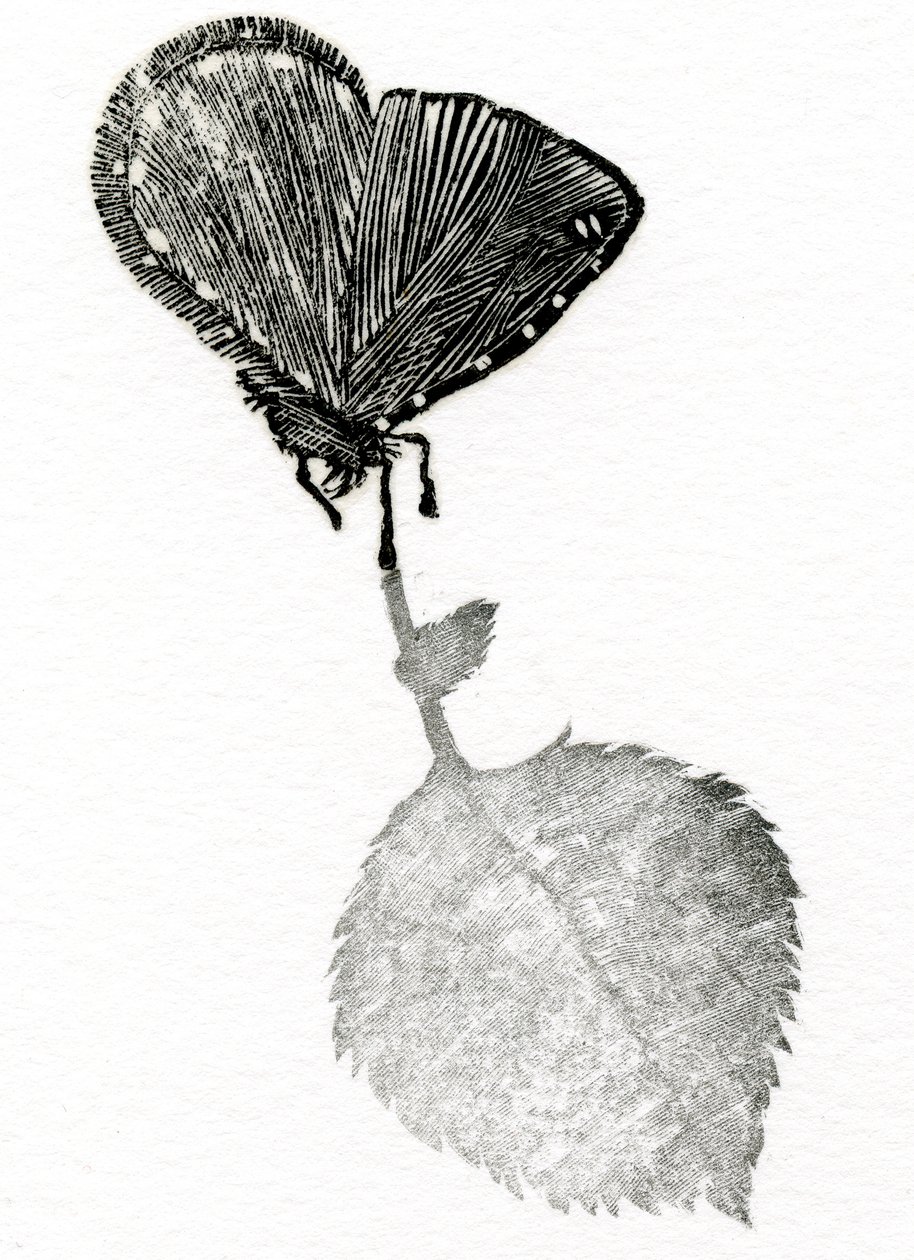 悬念》，2014 年（木刻、拼贴纸） 作者 贝拉·拉尔森（Bella Larsson）