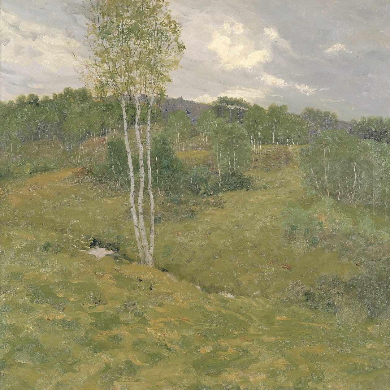 Birch-Clad Hills，约1908年。 作者 本·福斯特