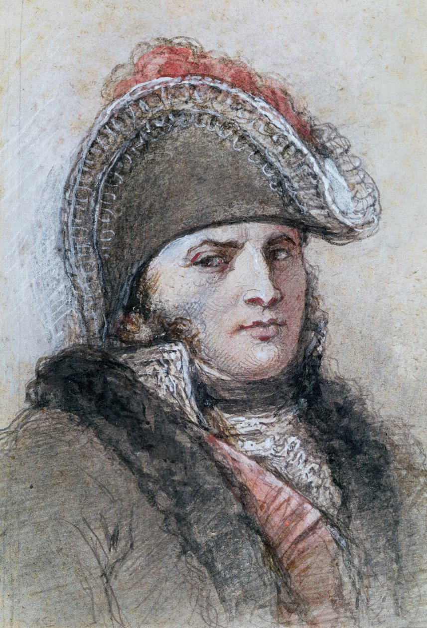 Marshal Davout，Echmuhl王子的肖像（笔和墨水在纸上洗） 作者 本尼迪克特·马森