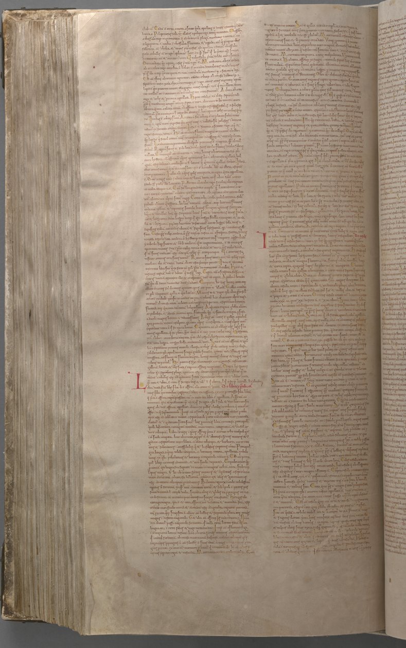 Codex Gigas 作者 Podlažice的本笃会修道院