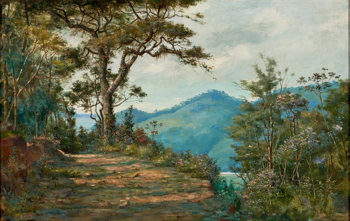 LandscapenPortugues：马坦系列的风景 作者 贝尼迪托·卡利克斯托（Benedito Calixto）