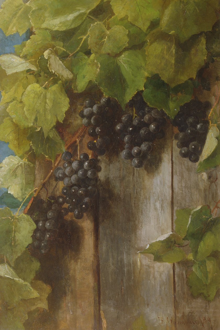 一种结果藤，1889年 作者 本杰明·香普尼（Benjamin Champney）