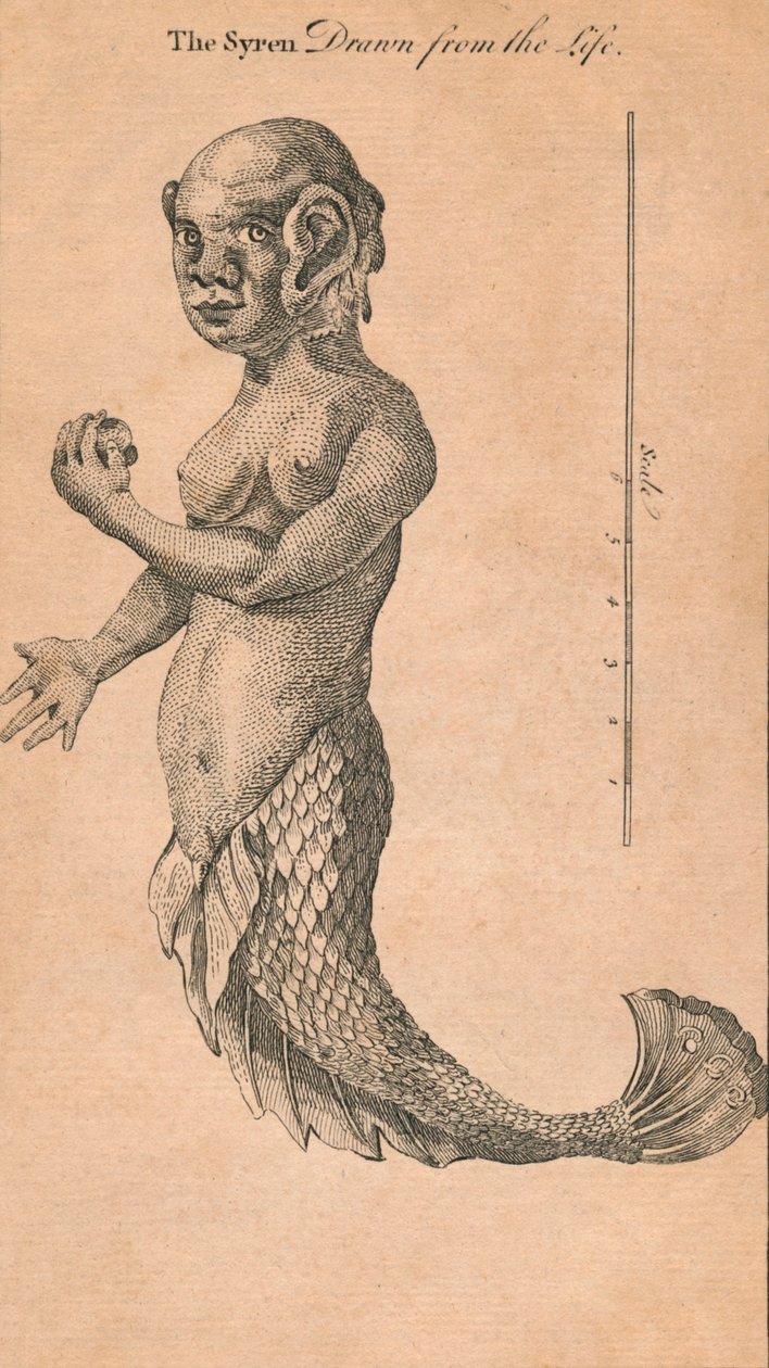 生命中的赛伦，1759年 作者 本杰明·科尔