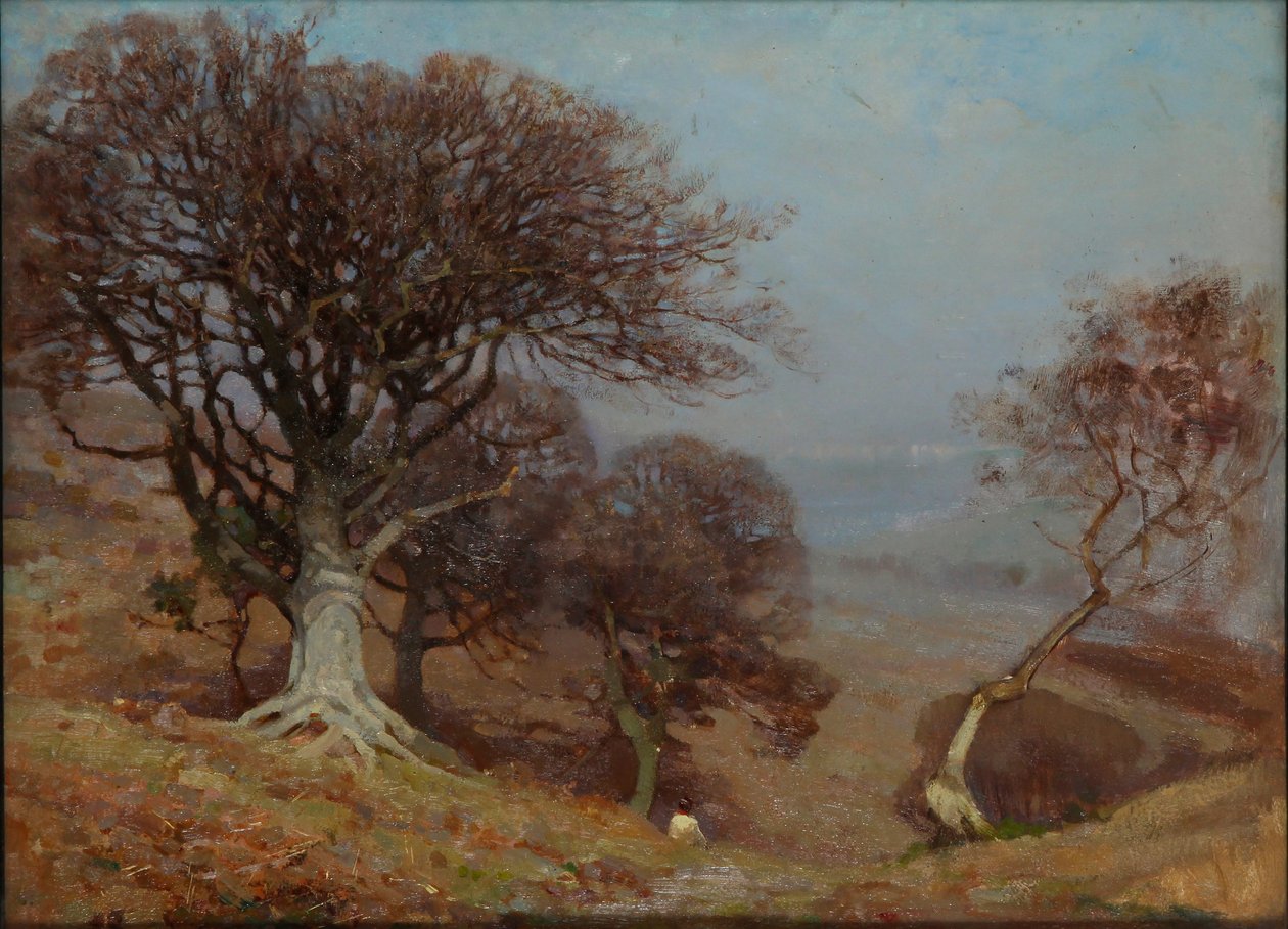 匡托克山毛榉"，1885-1924 作者 本杰明·霍顿
