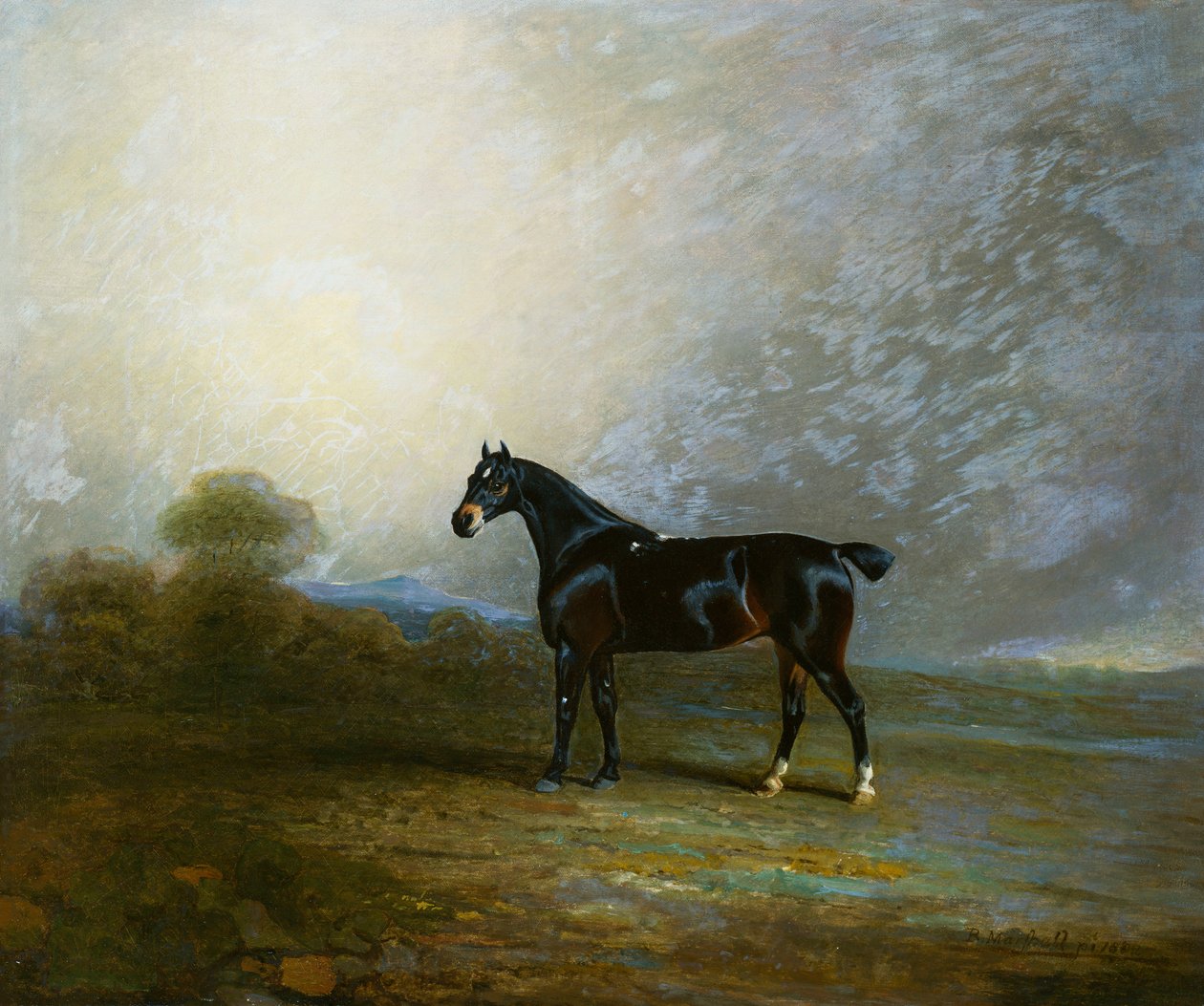 Bembo，查尔斯·沙特尔沃斯（Charles Shuttleworth）最喜欢的猎人，1802年 作者 本杰明·马歇尔