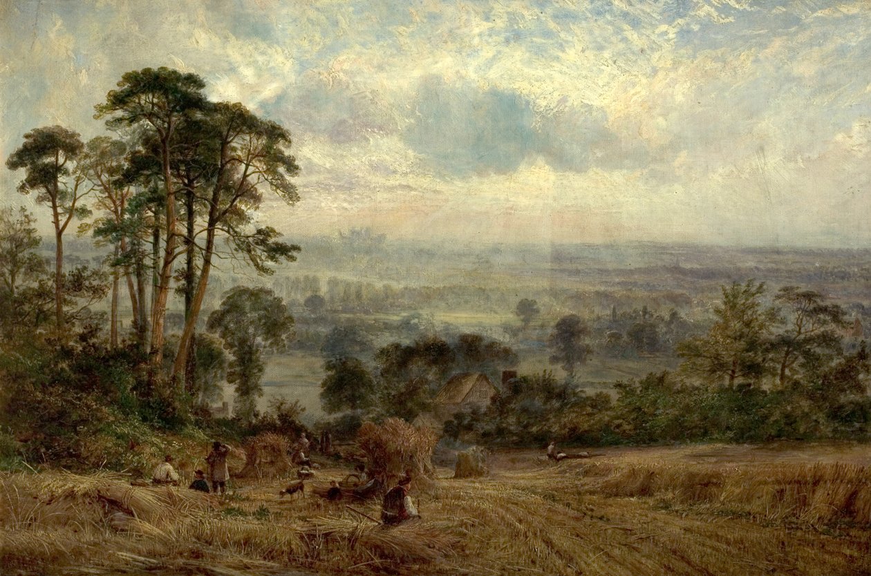 Cornfields，Wollaton Hall，诺丁汉，19世纪 作者 本杰明·希普曼