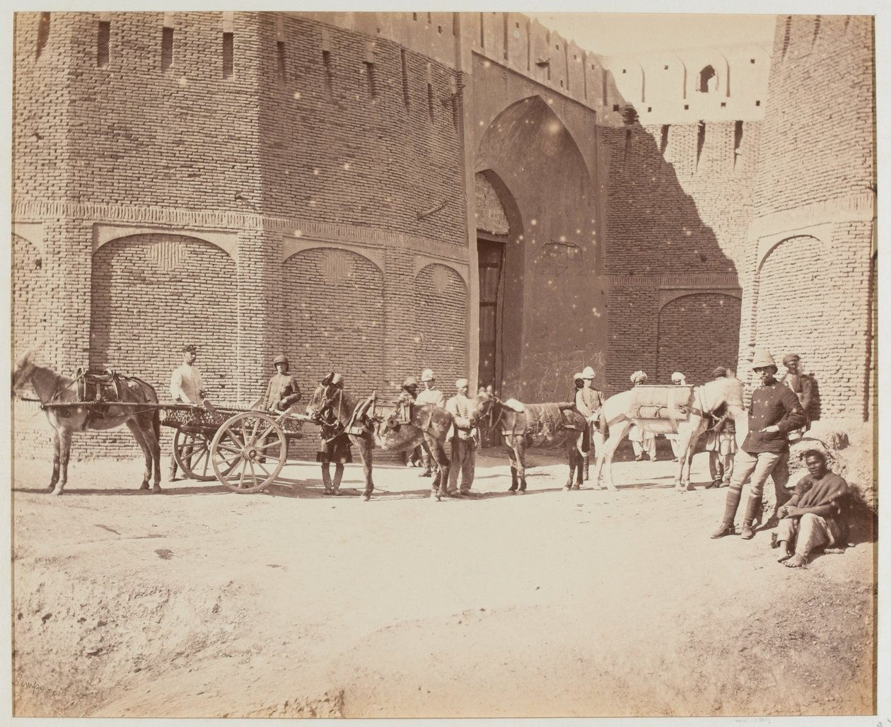 Durani Gate、Heyland Cart 和 Pack Mules，展示不同种类的驮鞍，坎大哈 作者 本杰明辛普森