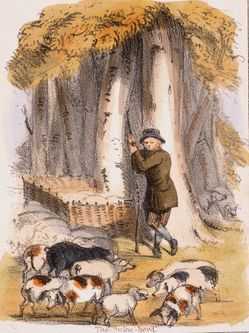 猪群，c1845 作者 本杰明·沃特豪斯·霍金斯