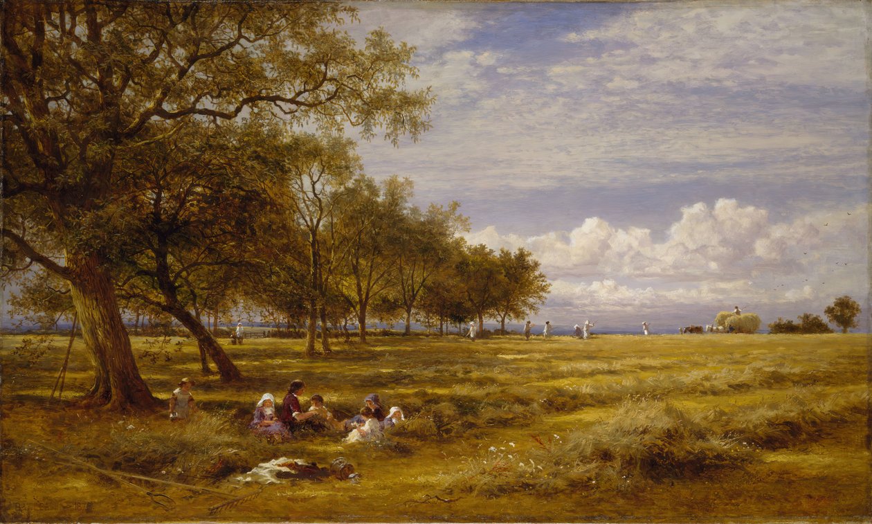 一个英国的海菲尔德，1878年。 作者 本杰明·威廉姆斯（Benjamin Williams）领导人