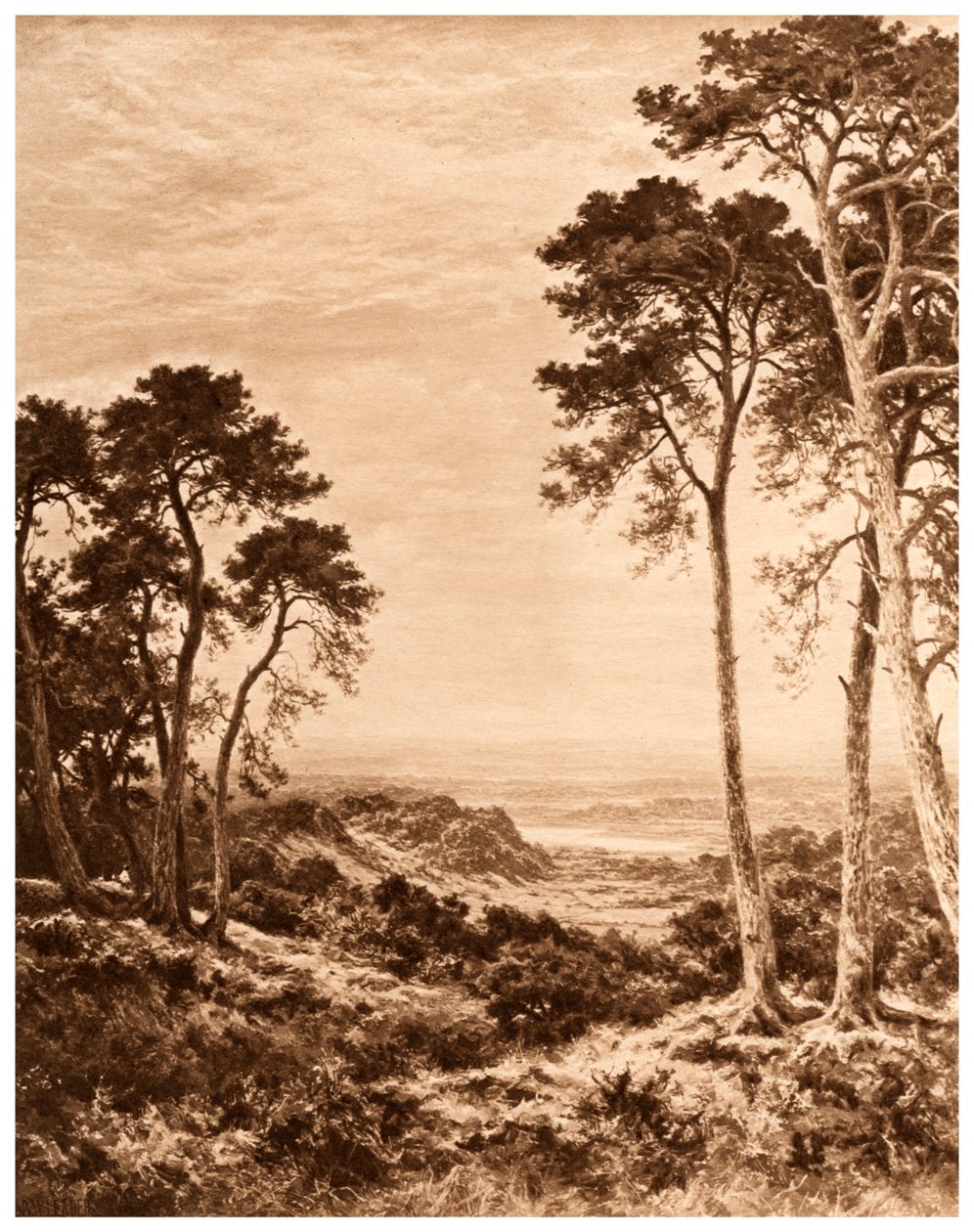 雨后的日落，1903年 作者 本杰明·威廉姆斯（Benjamin Williams）领导人
