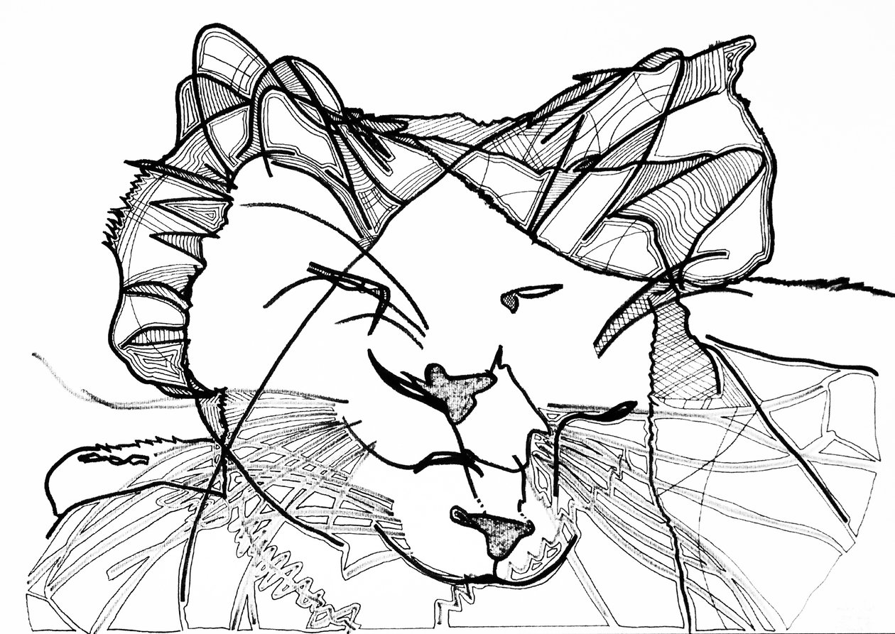 双猫，2019（纸本水墨） 作者 伯努瓦·埃尔万·布歇罗